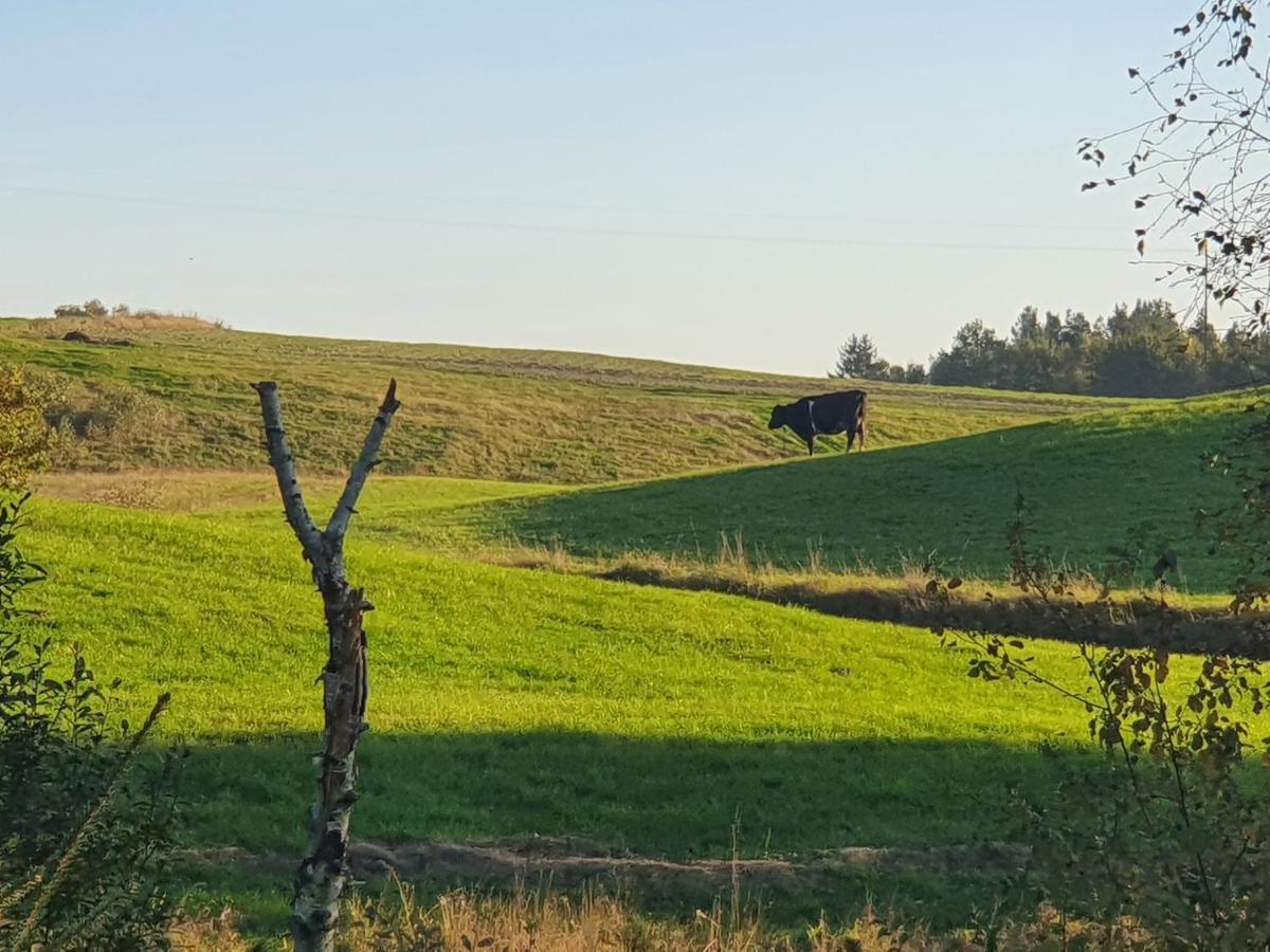 Kwatera prywatna I Przy Leśniczówce *
